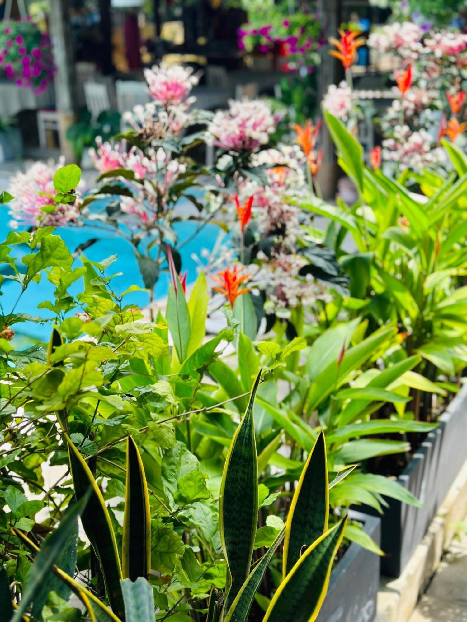Water Palm Residence Hieu Nhon 外观 照片
