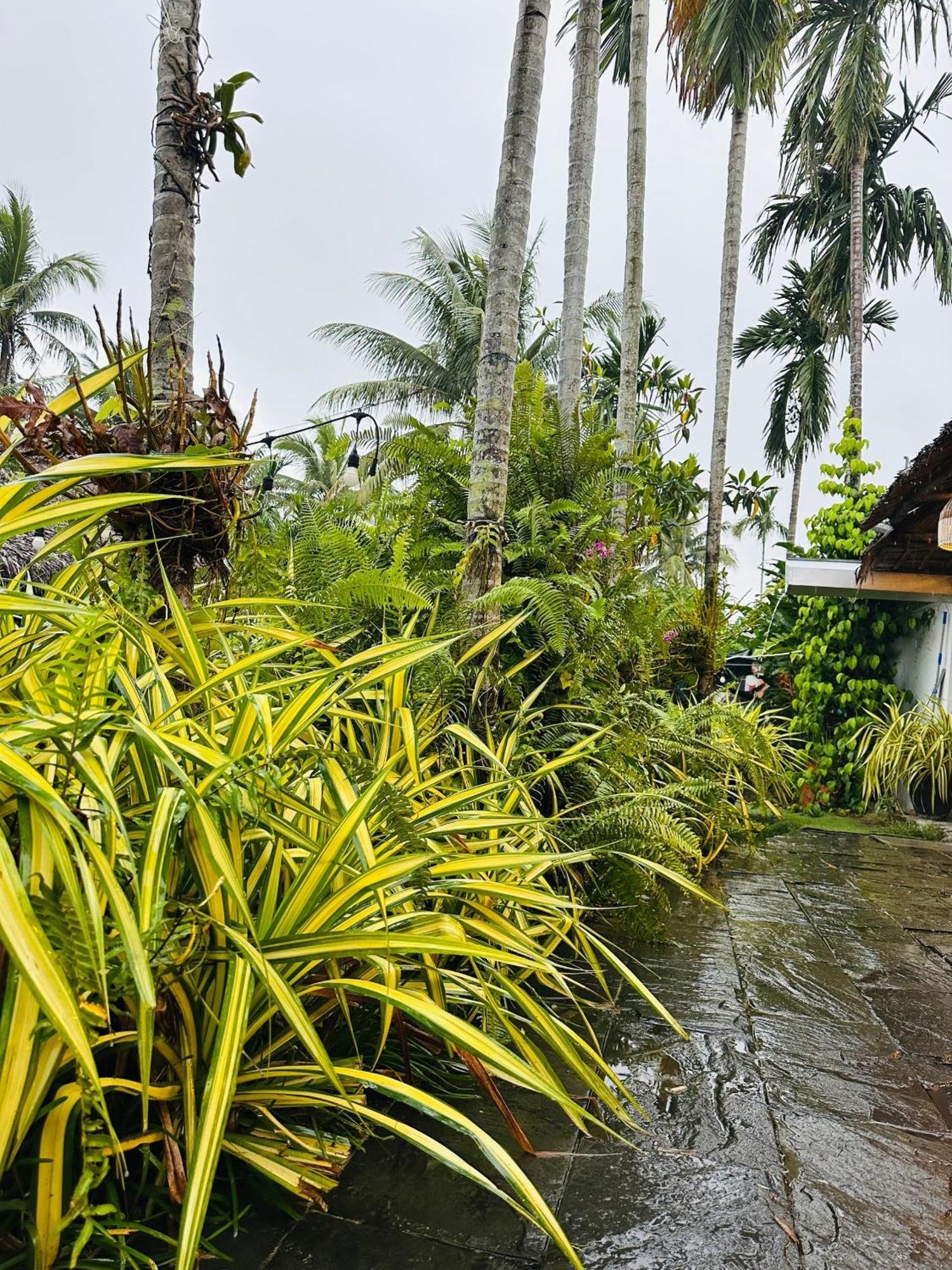Water Palm Residence Hieu Nhon 外观 照片