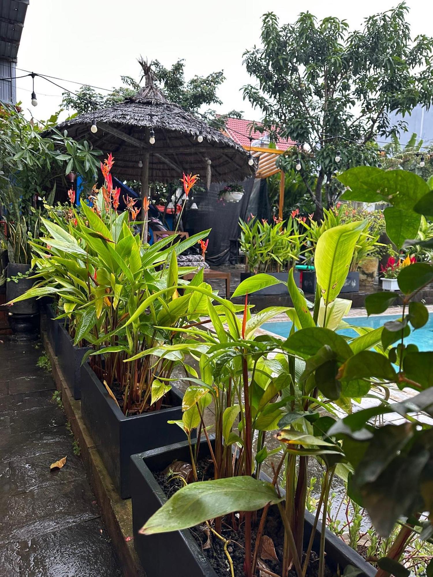 Water Palm Residence Hieu Nhon 外观 照片