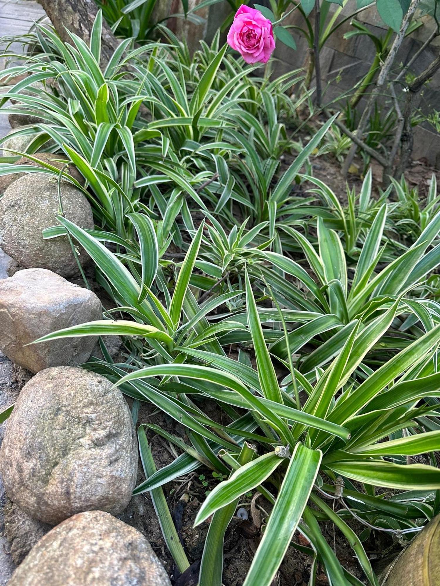 Water Palm Residence Hieu Nhon 外观 照片