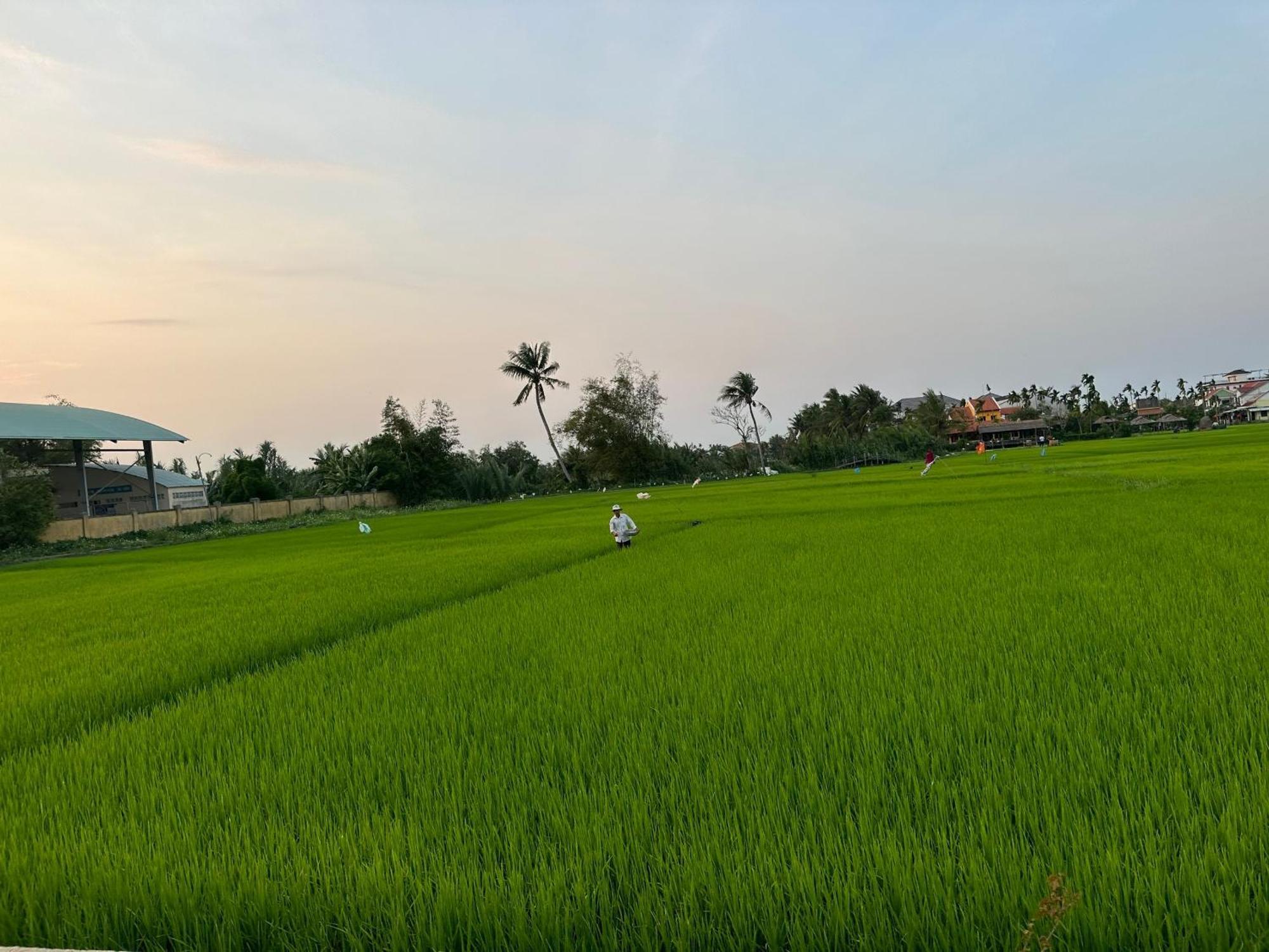 Water Palm Residence Hieu Nhon 外观 照片