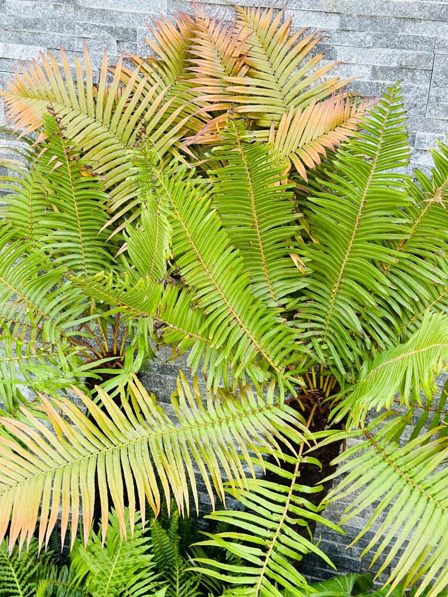 Water Palm Residence Hieu Nhon 外观 照片