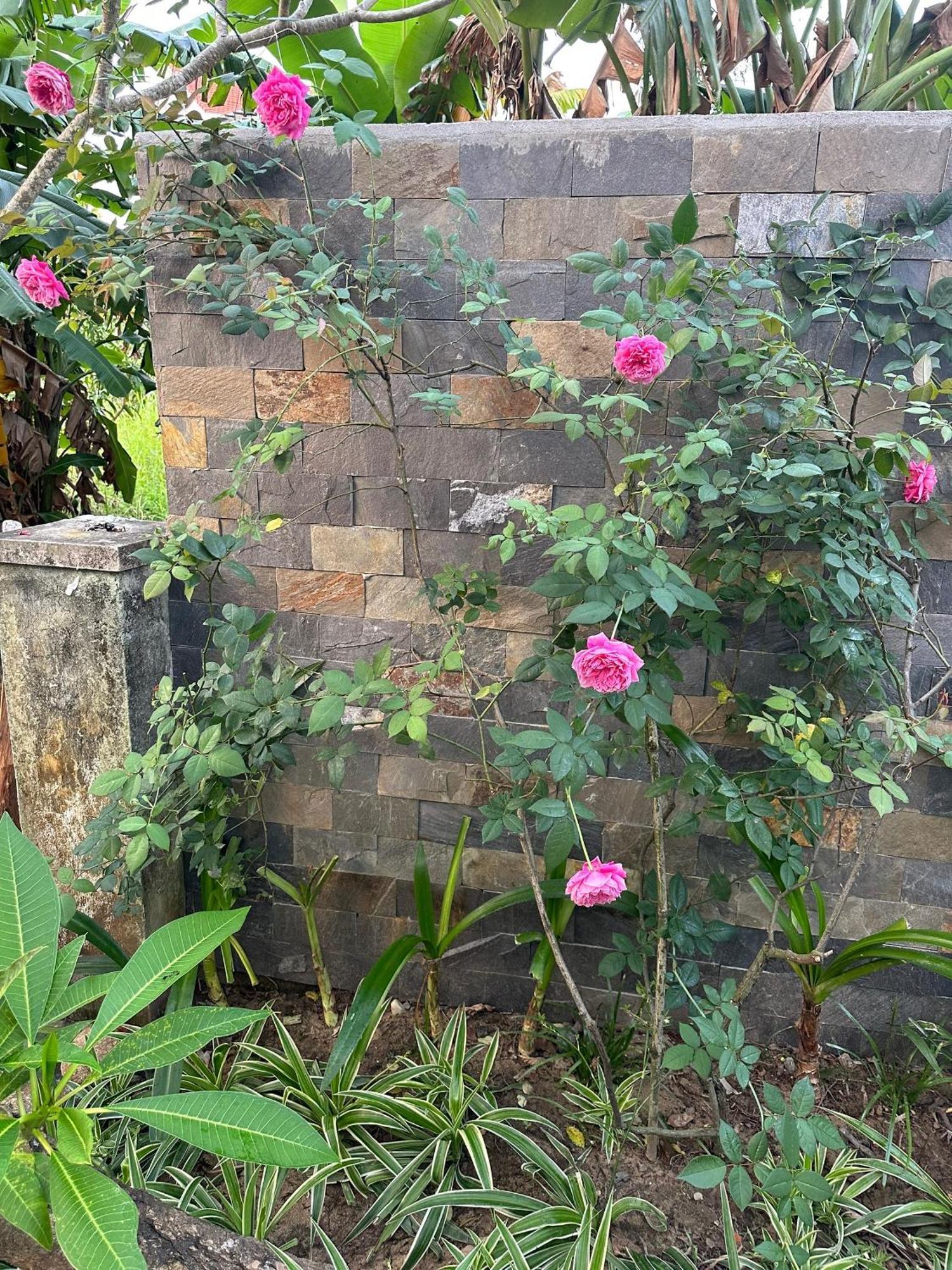 Water Palm Residence Hieu Nhon 外观 照片